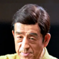 成年人在线视频免费观看